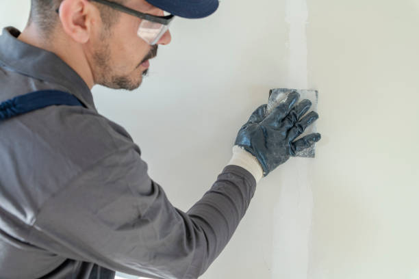 Best Mold Damage Restoration  in Oxford, IN