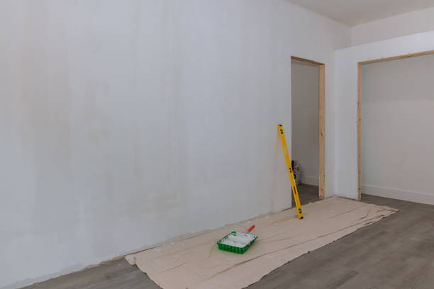 Best Basement Mold Removal  in Oxford, IN