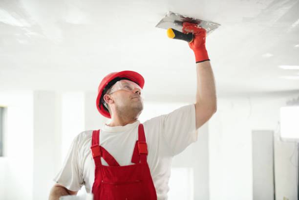 Best Mold Removal for HVAC Installations  in Oxford, IN