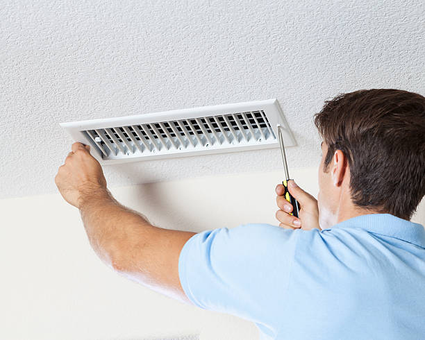 Best Mold Damage Restoration  in Oxford, IN